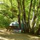 Clear photo of a wooded tent campsite with picnic table and gear, consistent with campground grounds; originates from the site's Online Tour (home.html) indicating it's a campsite at Sweetwater Forest.