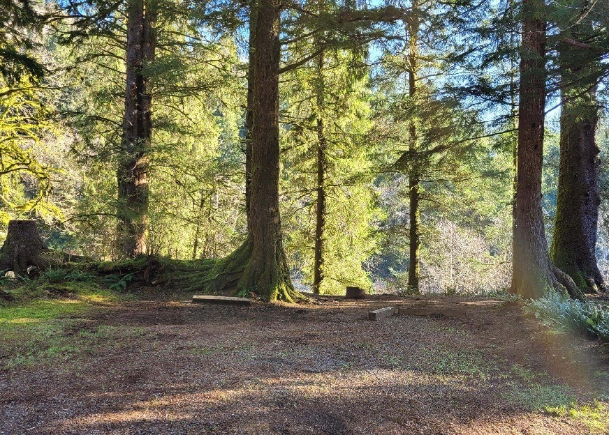Kilchis River County Campground