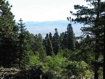 Alvarado Campground