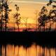Campground image 1