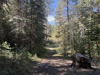 1, Loop: AREA SILVER CREEK GROUP CAMPGROUND