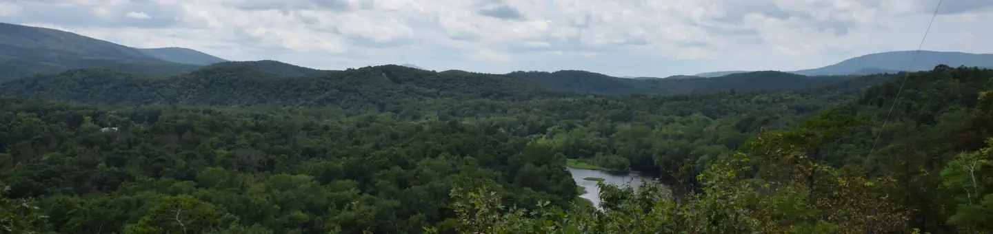 Fifteen Mile Creek Campsite