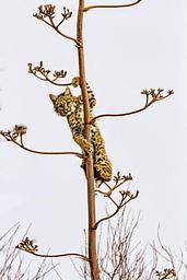 Huge Variety of Wildlife