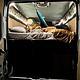 Vagabond Sunrise ~ Home Built Van Solar Freedom!