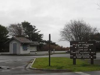 The entrance to Kalaloch Campground, with signs directing right to A, B, and C loops, and left to D, E, F loops and the dump station.