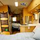 Vincent Van Go - Leisure Travel Van Serenity