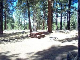Boca Spring