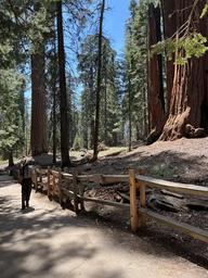 Crystal Springs Campground (CA)