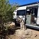 The Anywhere Adventure Van by 27North