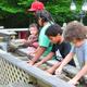 Campspot slideshow image 1