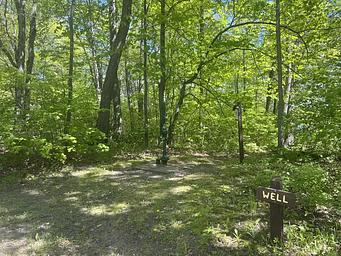 A photo of facility WILLIAMS NARROWS with No Amenities Shown