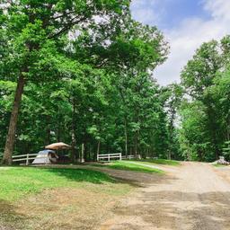 Scenic campsite/tent area with a tent, tree-lined sites and campground road — useful for showing tent camping and wooded character of the Brown County KOA. Sourced from the property 'ways to stay' images on the KOA page.