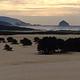 Sand Dunes