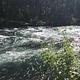 Rapids on the Metolius River