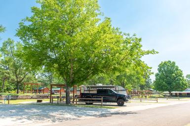Yogi Bear's Jellystone Park™ Camp-Resort: Tyler
