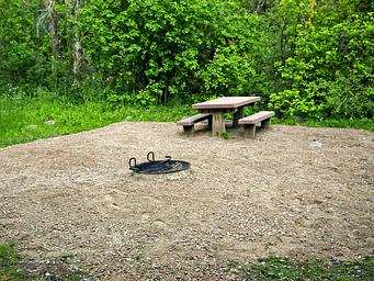Campsite in Leigh Creek Campground