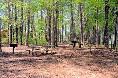 Galt's Ferry Picnic Area Near Bathroom