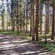 Pelton Creek Campground