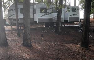 2018 Forest River Wildwood