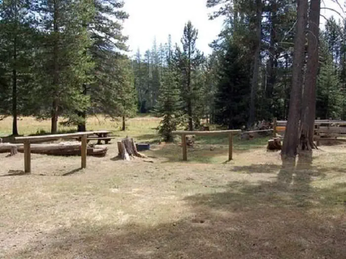 Little Lasier Meadows Campground