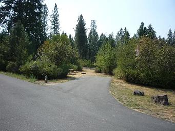 Hunters Campground trees in the background