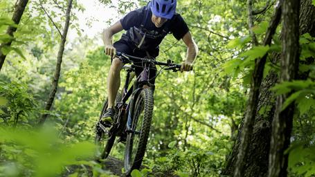 Arrowhead Bike Farm & Campground