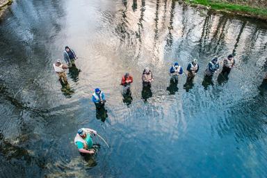 People fly-fishing in the river at Bennett Spring State Park