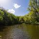 Harris Chain of Lakes at Holiday RV Park in Leesburg, Florida.