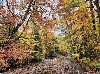 Fransted Family Campground + RV Park LLC