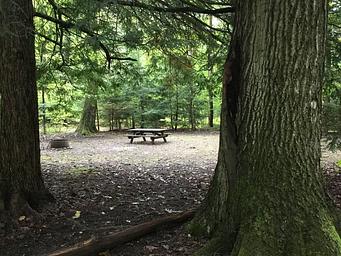 Hearts Content Recreation Area