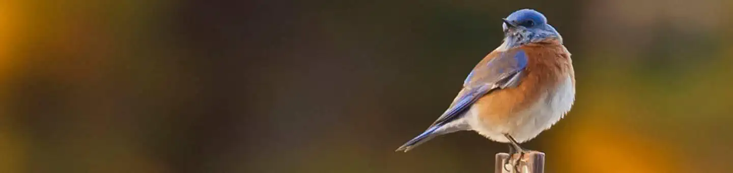 Warm Springs Rec Area