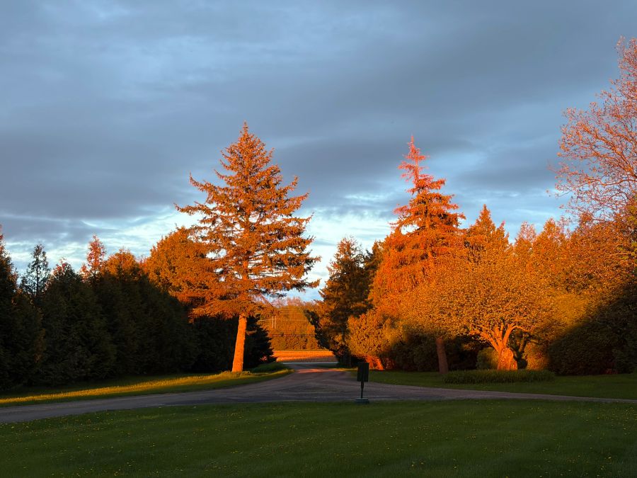 Champlain Resort Adult Campground