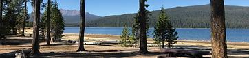 Contorta Flat Campground