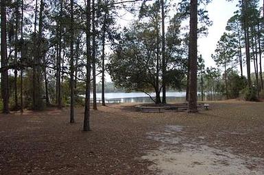 LAKE SHORE GROUP CAMP