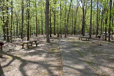 Cooper's Branch #2 Picnic Area