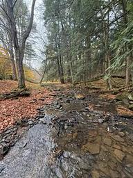 Kellettville Recreation Area (PA)