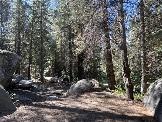 1, Loop: AREA SILVER CREEK GROUP CAMPGROUND