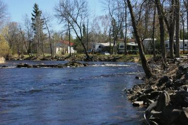 Pine Tree Campground