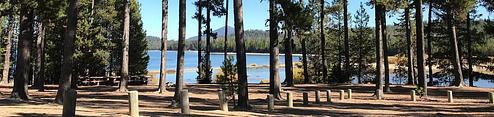 Contorta Point Group Camp