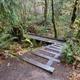 River Access #2
