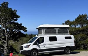 2019 Ford Ford Transit Custom