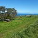 Picnic table and food storage box surrounded by low bushes and grass overlooking ocean.   