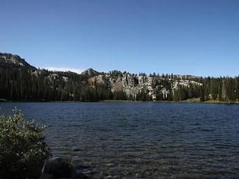Lake surrounded by trees and mountains