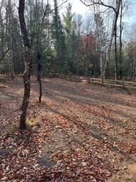 Silver Cliff Camp