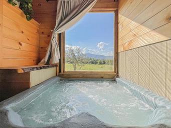 WV Glamping Domes