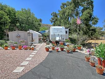 Ventura Oaks