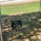 Meadows RV Park