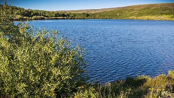Fish Lake Campground