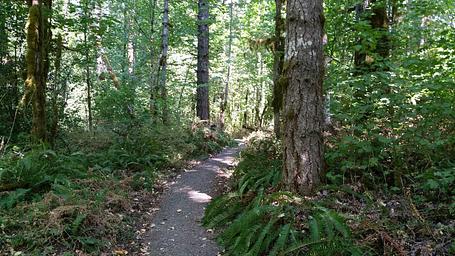 trail at Fishermen's Bend