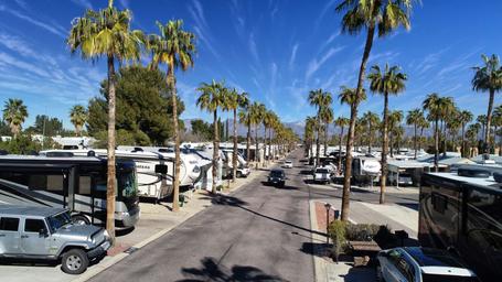 Long street-level aerial/oblique shot down an RV-lined road showing rows of sites and palms — useful for showing site spacing, road layout and community scale.